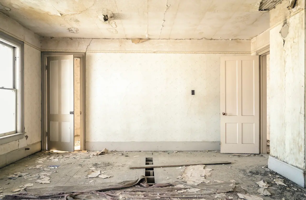 Waste disposal crew managing a cleanout project in Old Fig Garden